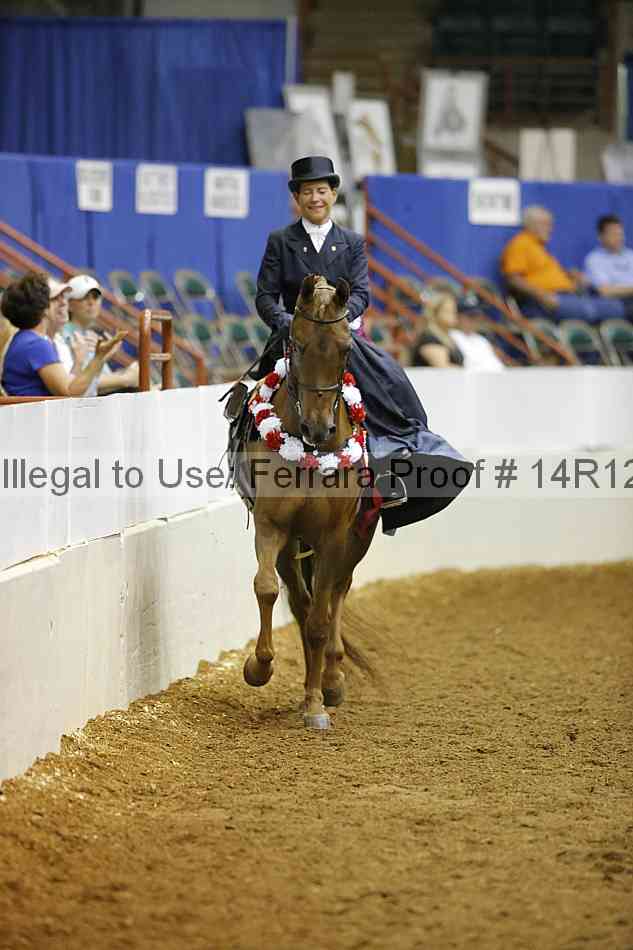 Proof Number 14r12_4255