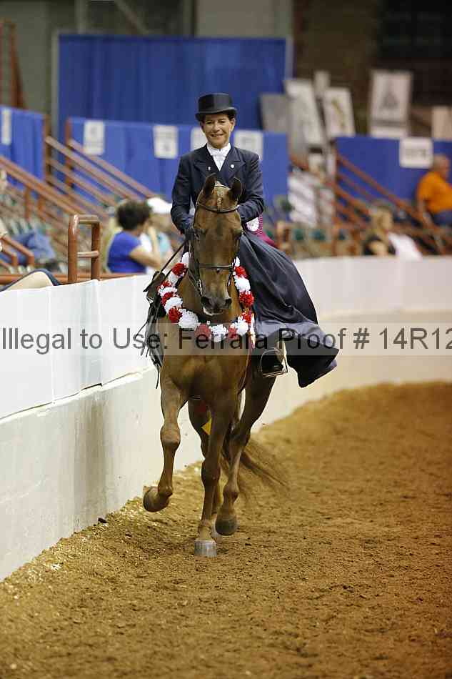 Proof Number 14r12_4256