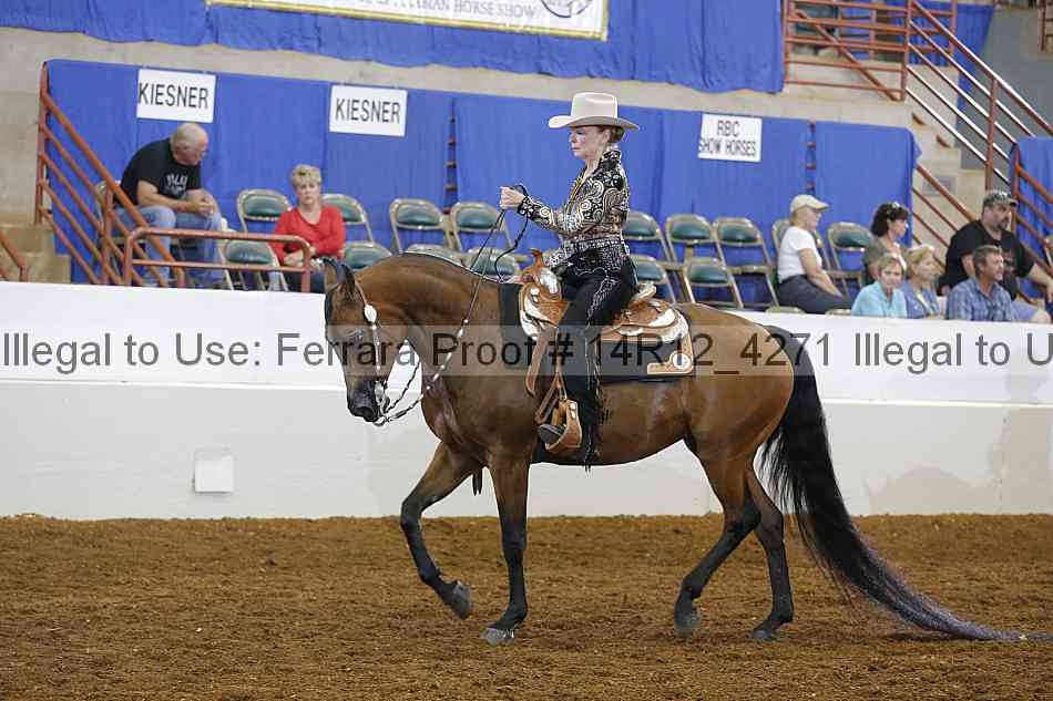 Proof Number 14r12_4271