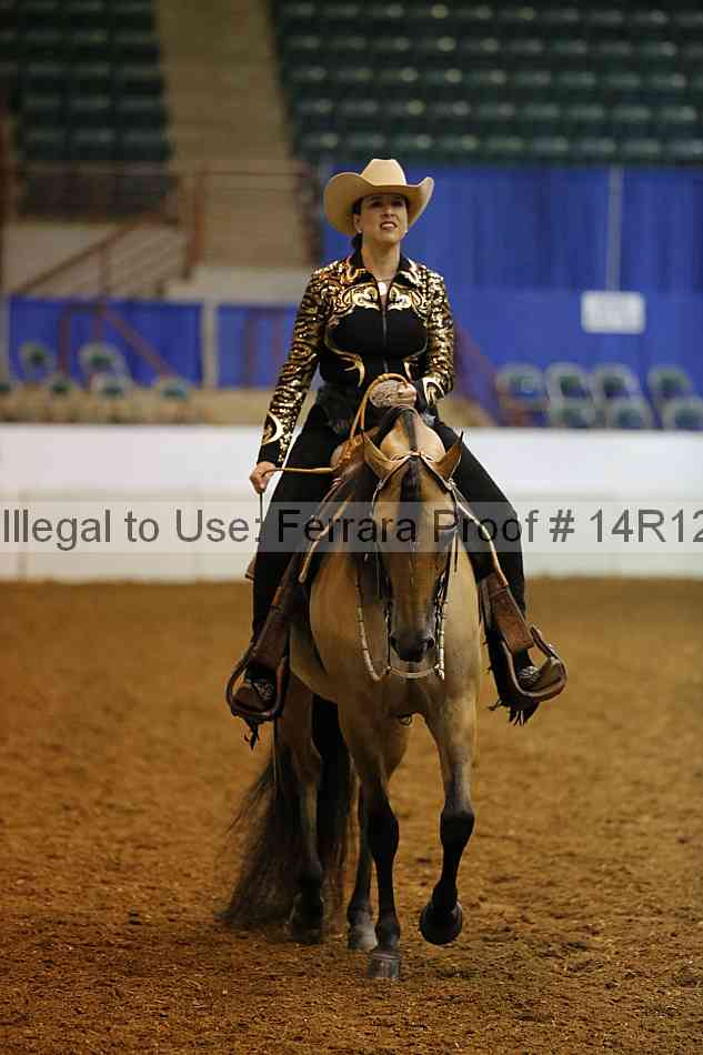 Proof Number 14r12_4287