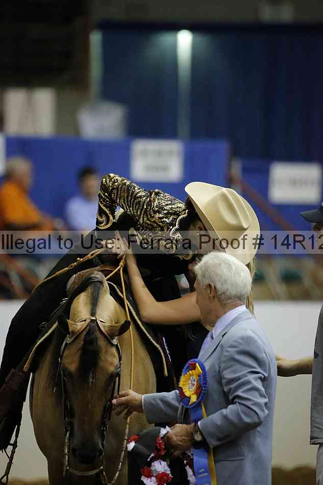 Proof Number 14r12_4323