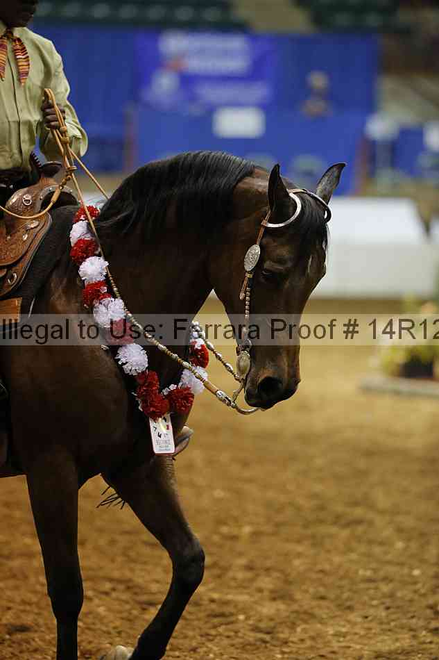 Proof Number 14r12_4376