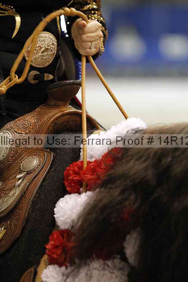 Proof Number 14r12_4380