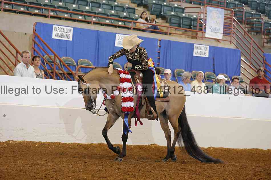 Proof Number 14r12_4381