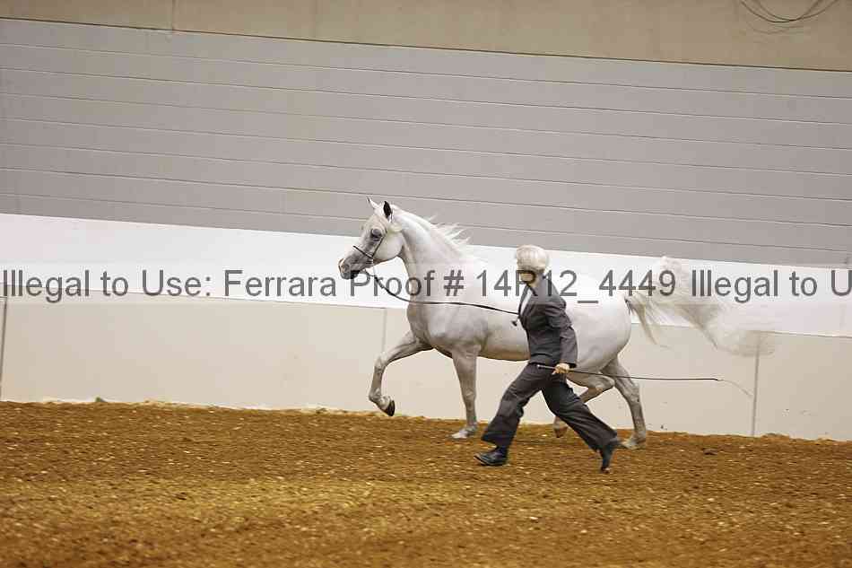 Proof Number 14r12_4449
