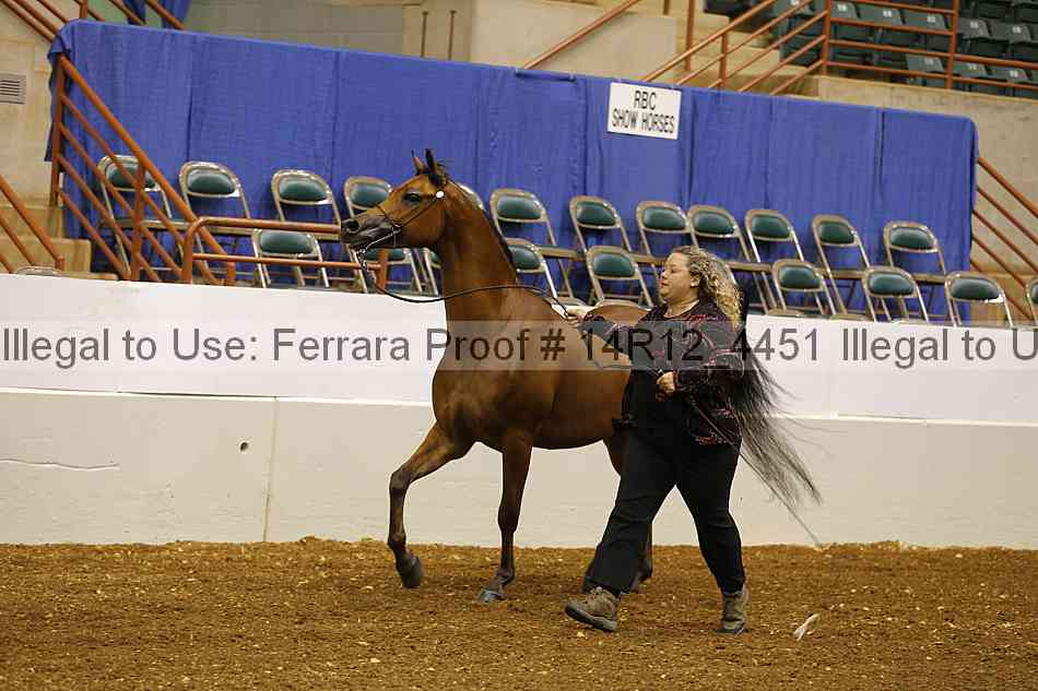 Proof Number 14r12_4451