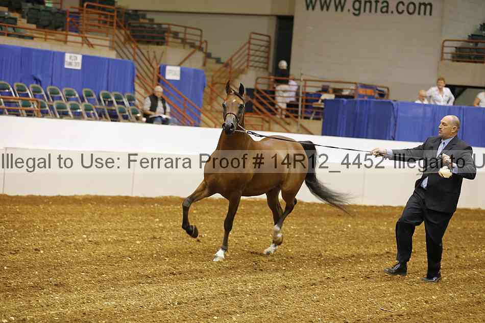 Proof Number 14r12_4452