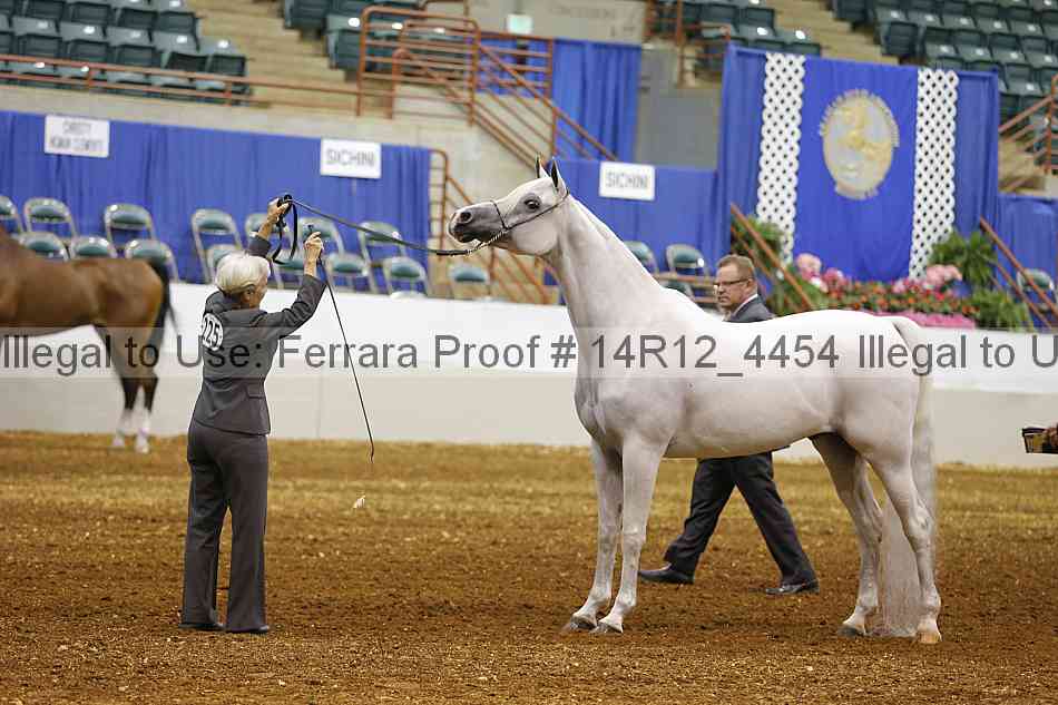 Proof Number 14r12_4454