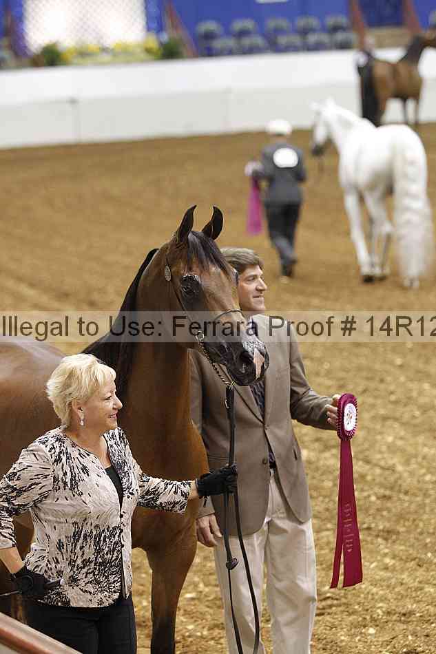 Proof Number 14r12_4472