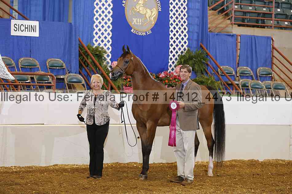 Proof Number 14r12_4473