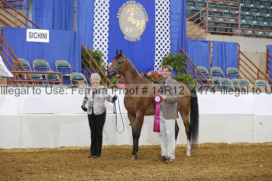 Proof Number 14r12_4474