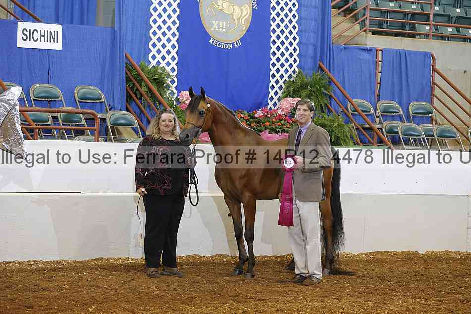 Proof Number 14r12_4478