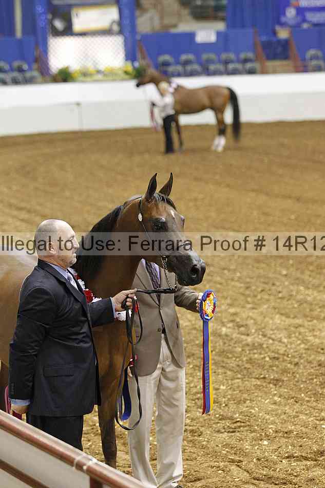 Proof Number 14r12_4490