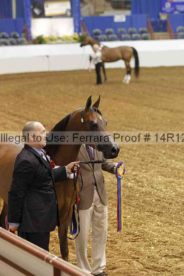 Proof Number 14r12_4491