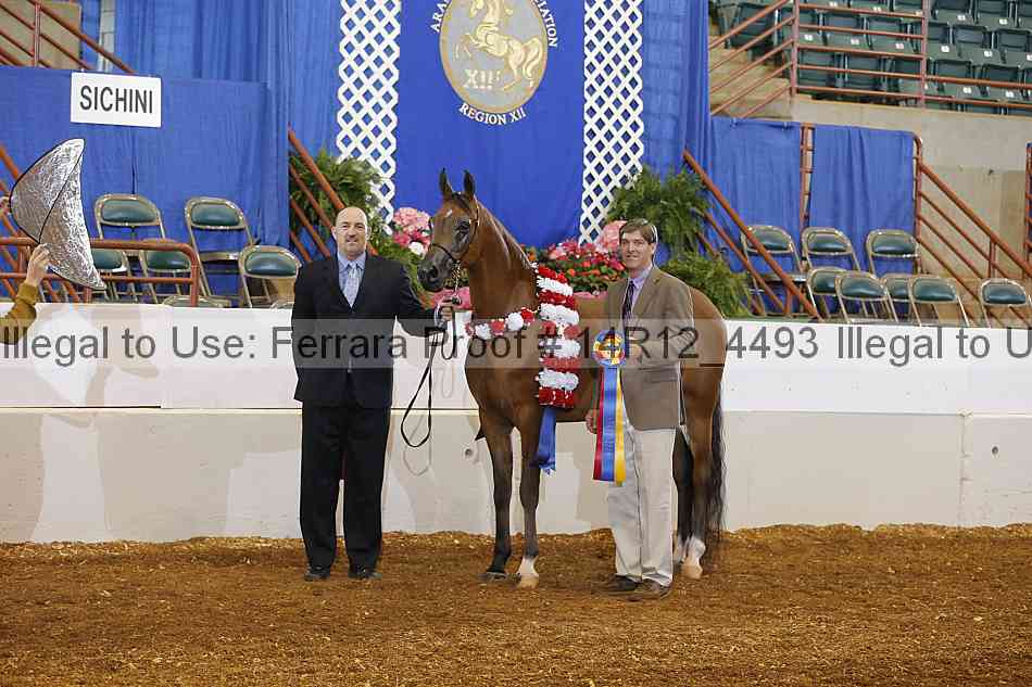 Proof Number 14r12_4493