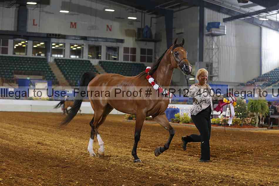 Proof Number 14r12_4506
