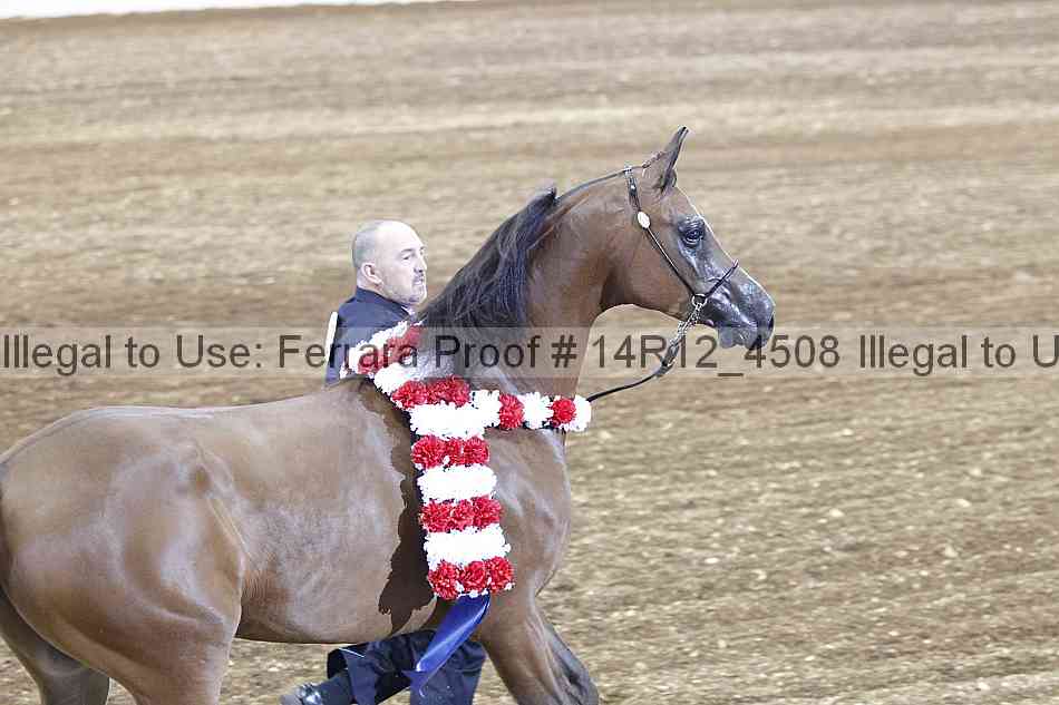 Proof Number 14r12_4508