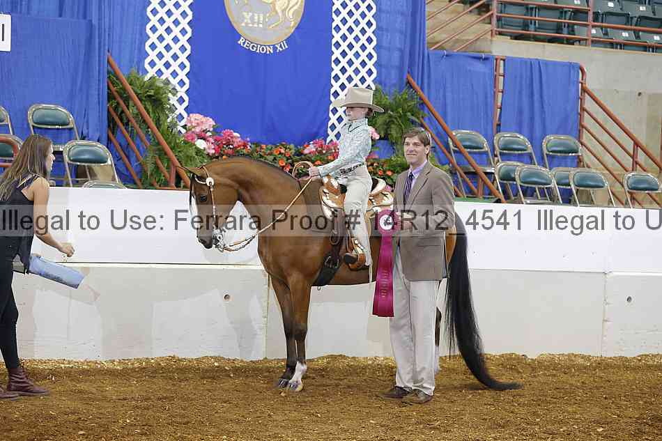 Proof Number 14r12_4541