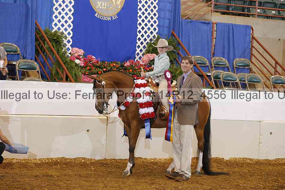 Proof Number 14r12_4556