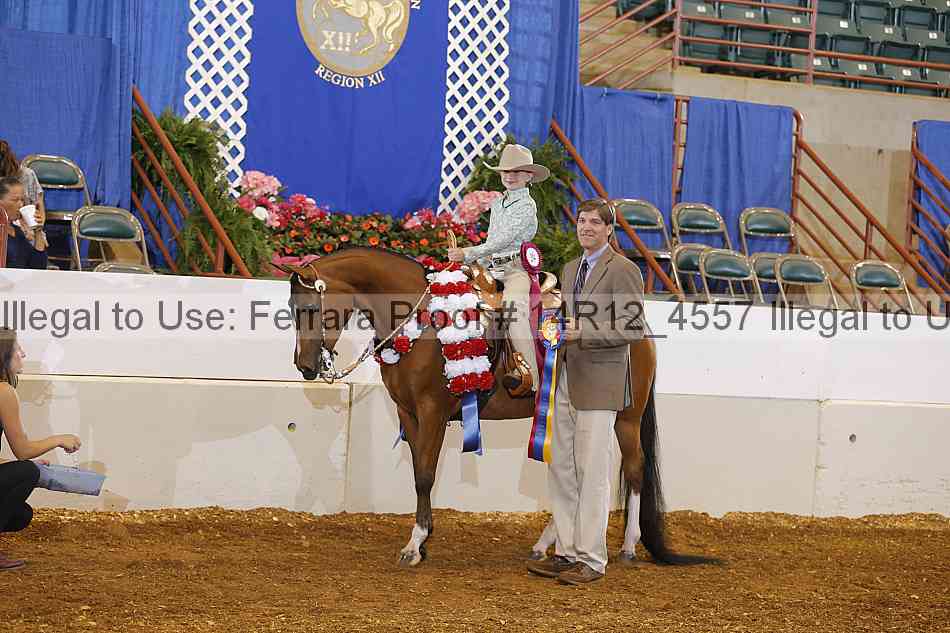 Proof Number 14r12_4557