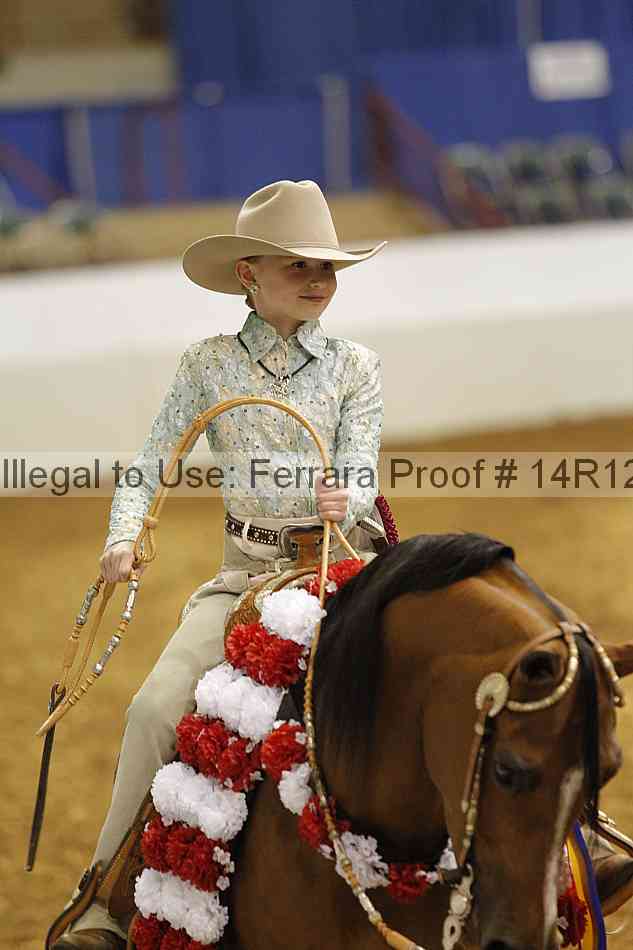 Proof Number 14r12_4558