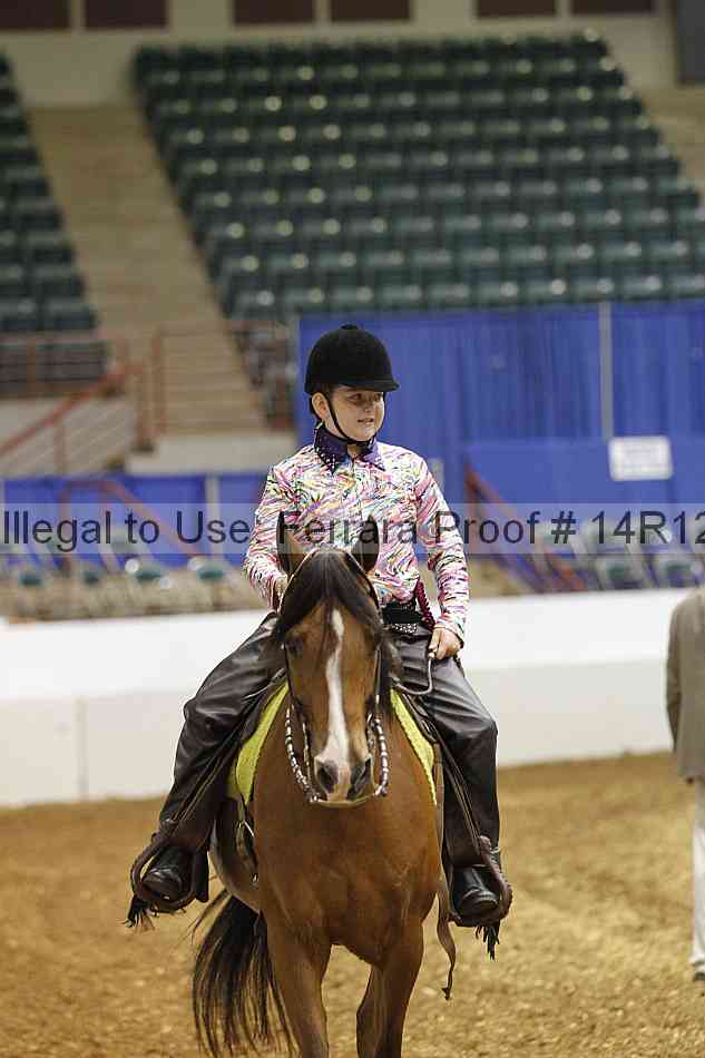 Proof Number 14r12_4561