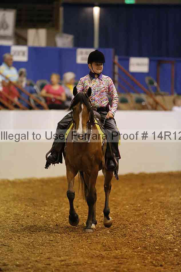 Proof Number 14r12_4567