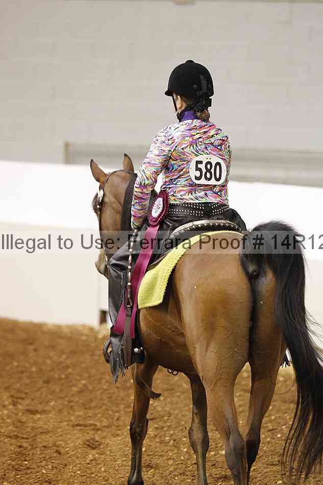 Proof Number 14r12_4570