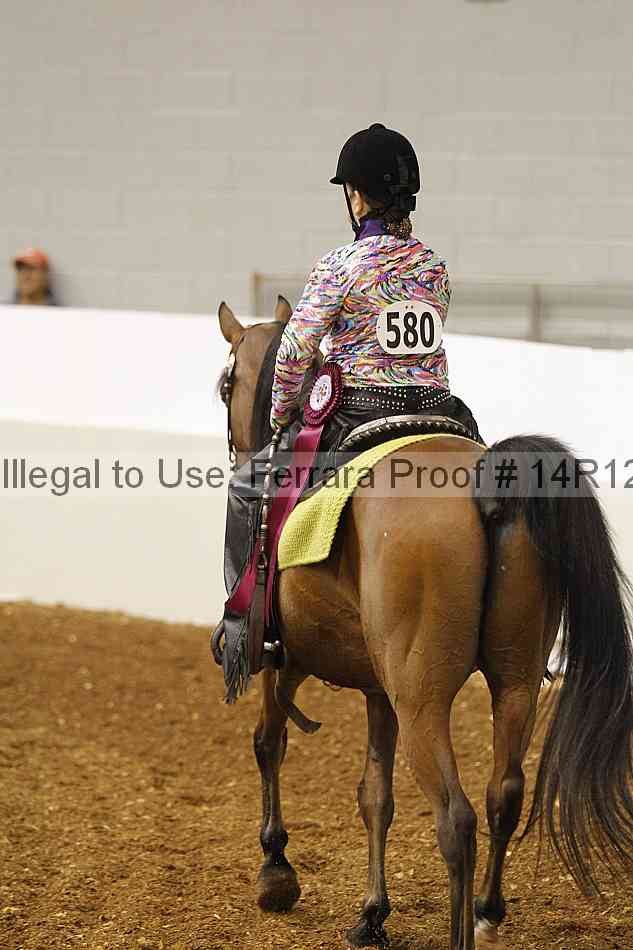 Proof Number 14r12_4571