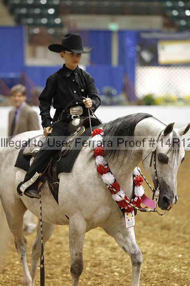 Proof Number 14r12_4574