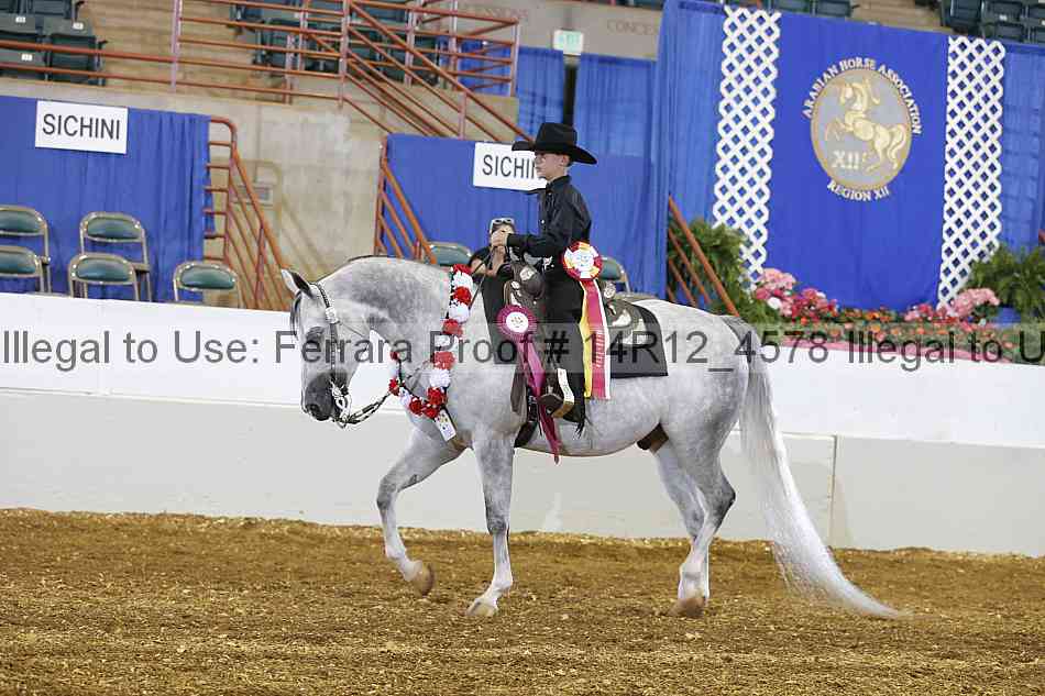 Proof Number 14r12_4578