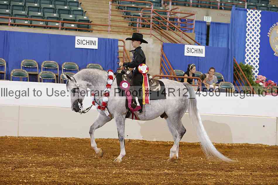 Proof Number 14r12_4580