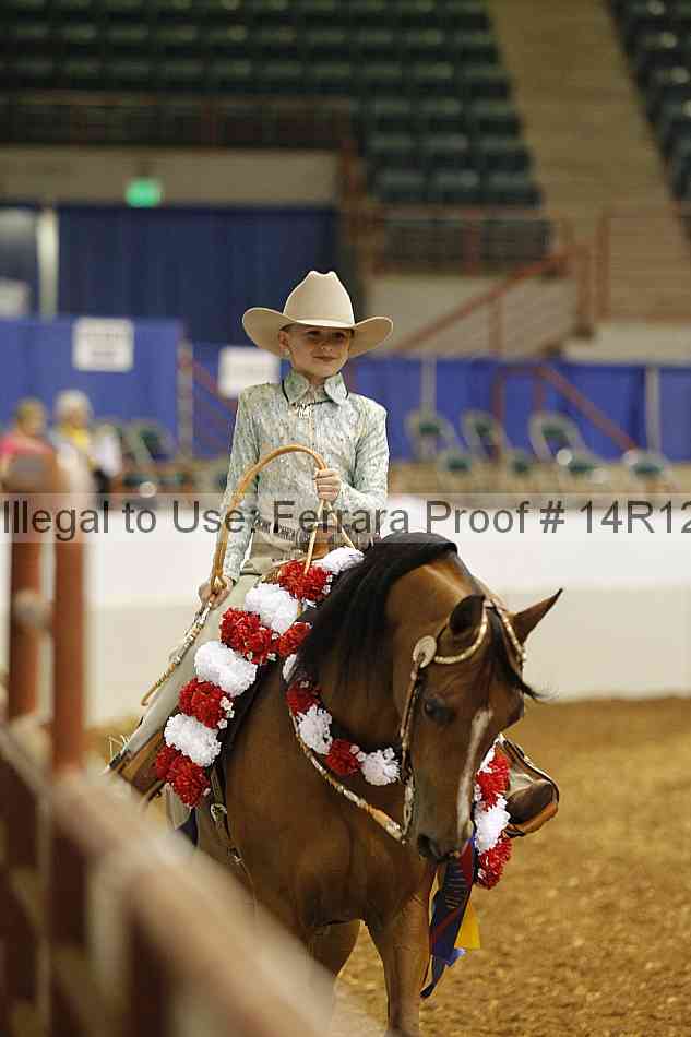 Proof Number 14r12_4582