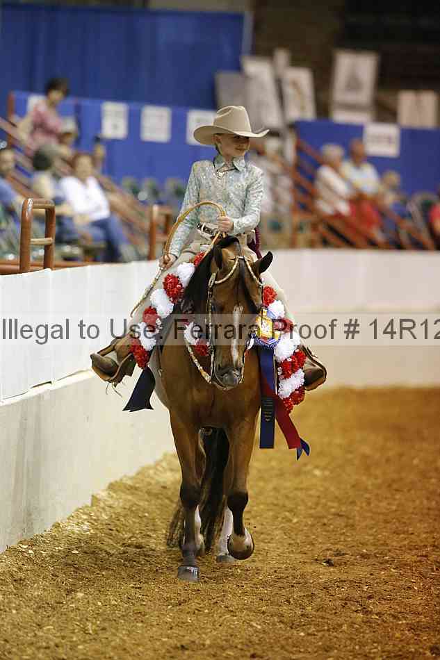 Proof Number 14r12_4587