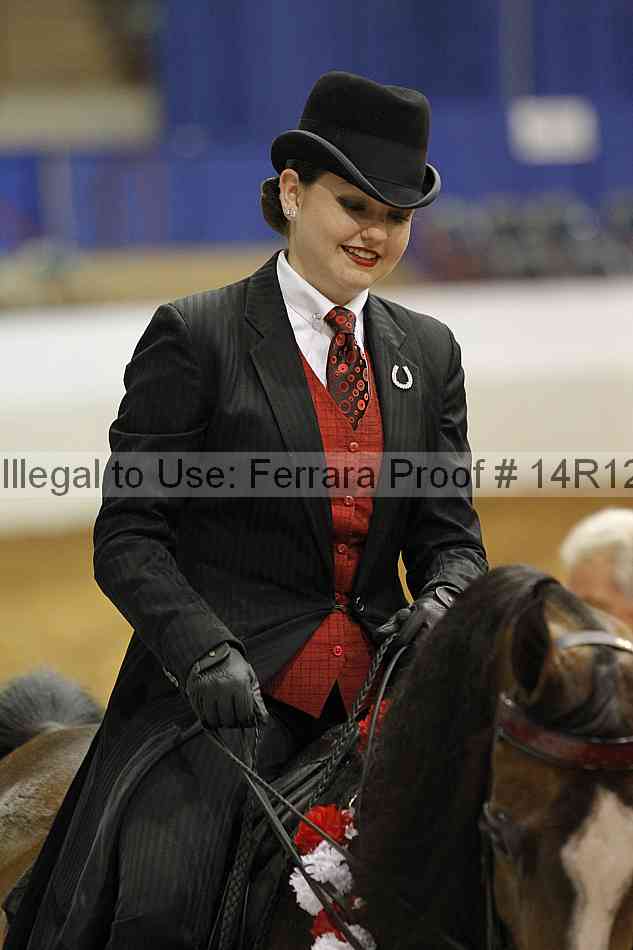 Proof Number 14r12_4617