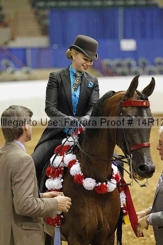 Proof Number 14r12_4627