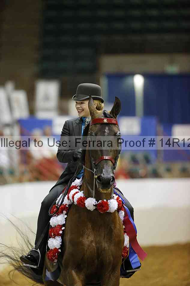 Proof Number 14r12_4630