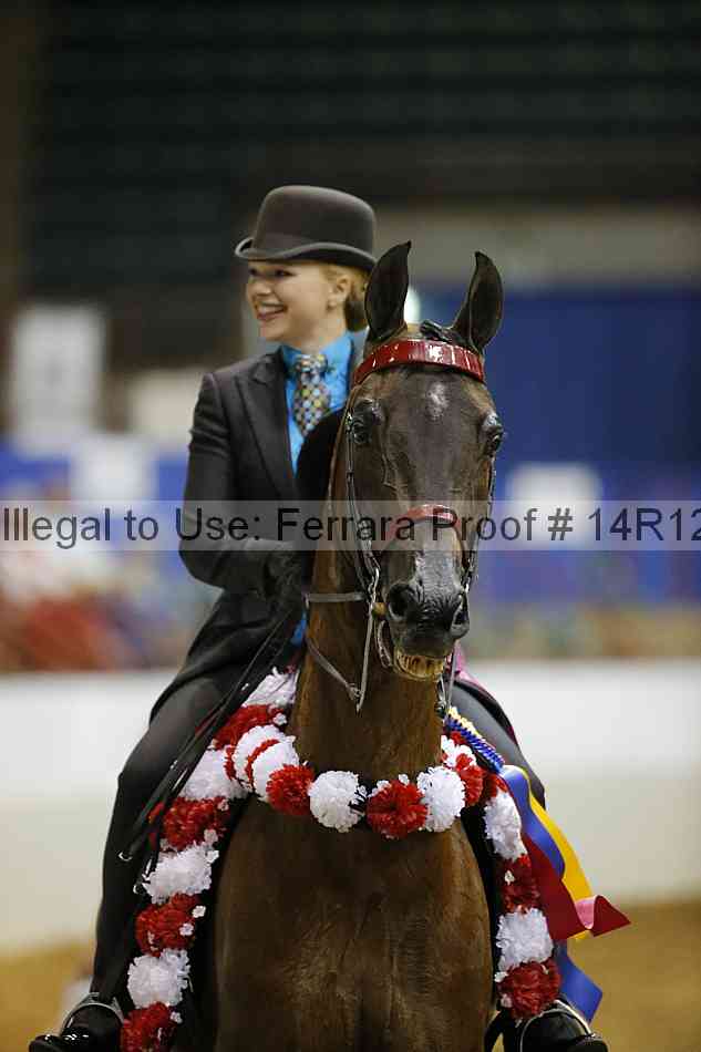 Proof Number 14r12_4631