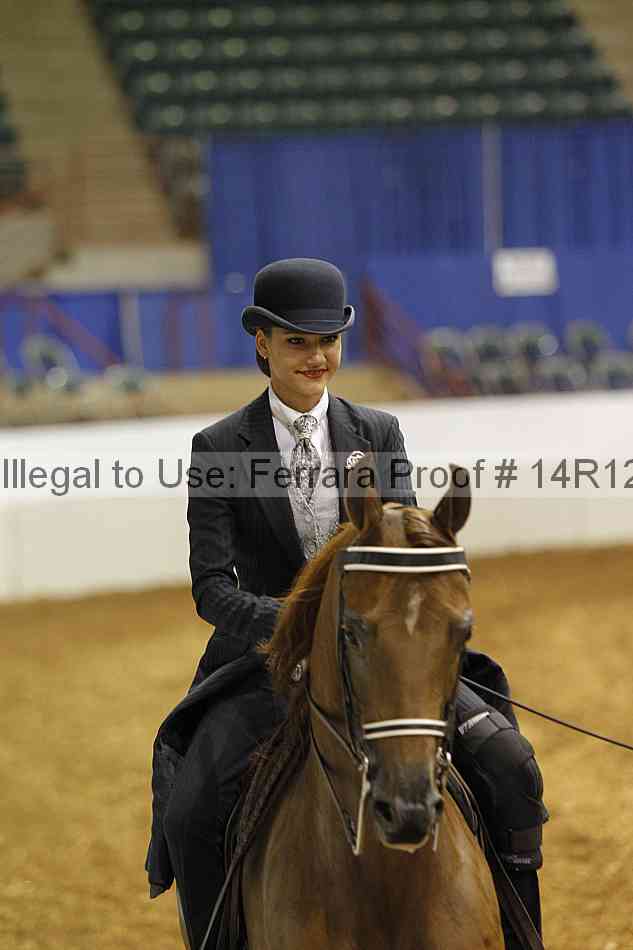 Proof Number 14r12_4633