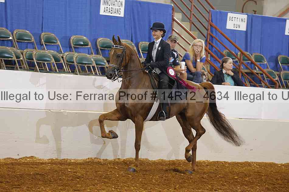 Proof Number 14r12_4634