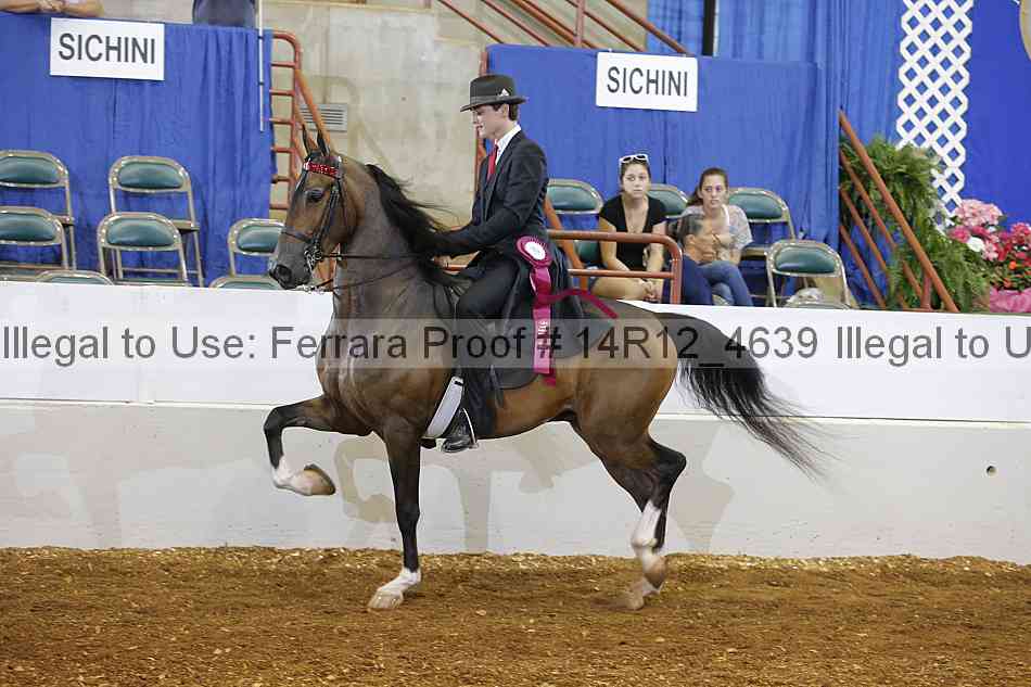 Proof Number 14r12_4639