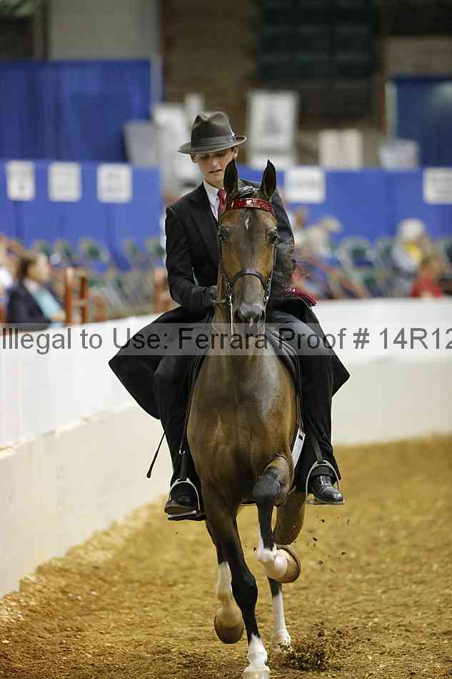Proof Number 14r12_4643