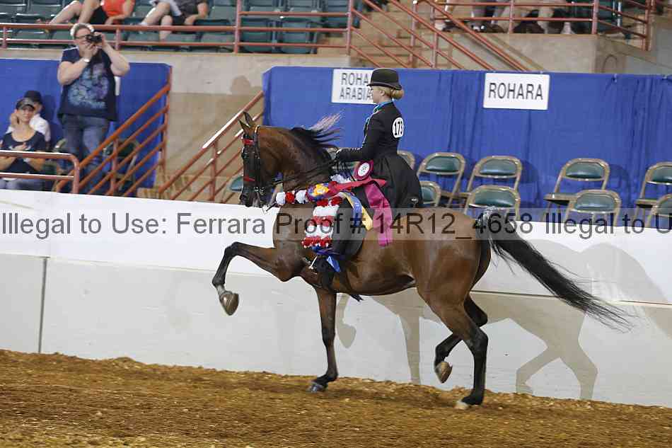Proof Number 14r12_4658