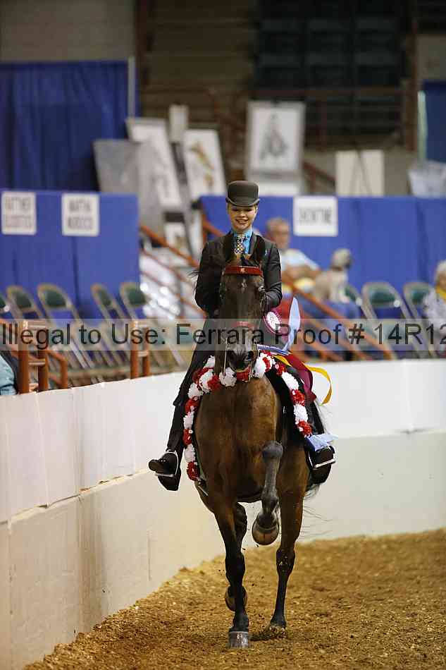 Proof Number 14r12_4659