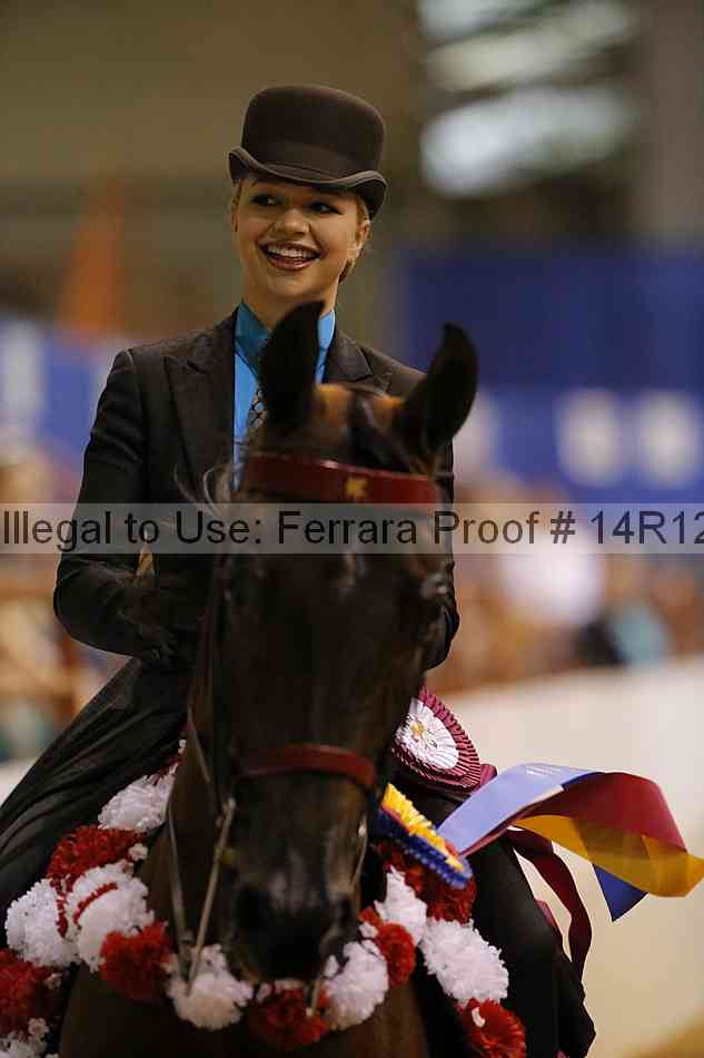 Proof Number 14r12_4661