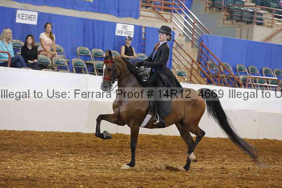 Proof Number 14r12_4669