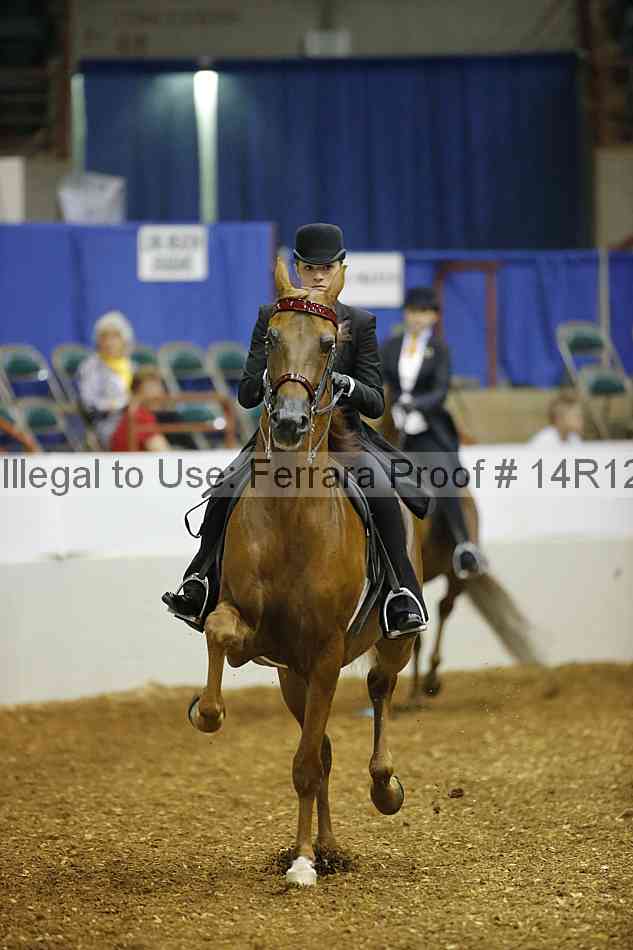 Proof Number 14r12_4678