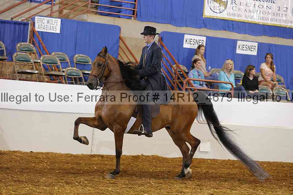 Proof Number 14r12_4679