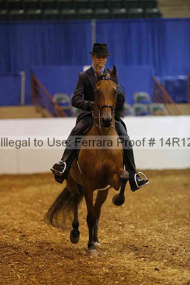 Proof Number 14r12_4688