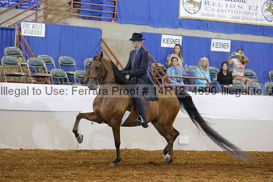 Proof Number 14r12_4690